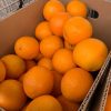 oranges