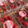 strawberries